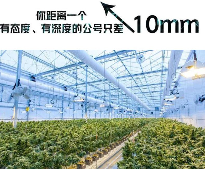 &#112;&#112;&#30005;&#23376;&#40;&#20013;&#22269;&#28216;&#41;&#23448;&#26041;&#22312;&#32447;&#24179;&#21488;